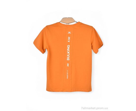 Футболка дитяча Літо 30564 mix (4 шт. р.сітка9-12) "OL" недорого оптом від прямого постачальника, зображення 3 Футболка дитяча Літо 30564 mix (4 шт. р.сітка9-12) "OL" недорого оптом від прямого постачальника, зображення 3