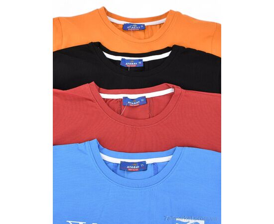 Футболка дитяча Літо 30564 mix (4 шт. р.сітка9-12) "OL" недорого оптом від прямого постачальника, зображення 4 Футболка дитяча Літо 30564 mix (4 шт. р.сітка9-12) "OL" недорого оптом від прямого постачальника, зображення 4