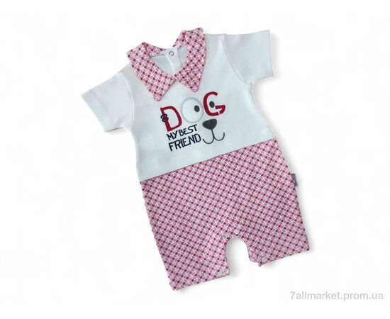 Песочник детский Лето 498 червоний (3 шт. р.сетка 3-9) "Kids-modnik" недорого оптом от прямого поставщика Фотография Песочник детский Лето 498 червоний (3 шт. р.сетка 3-9) "Kids-modnik" недорого оптом от прямого поставщика