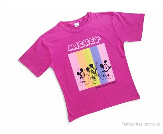 Футболка детская Лето 1041 малиновий (4 шт. р.сетка 13-16) "Kids-modnik" недорого оптом от прямого поставщика Фотография Футболка детская Лето 1041 малиновий (4 шт. р.сетка 13-16) "Kids-modnik" недорого оптом от прямого поставщика