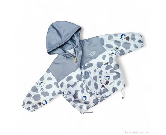 Вітровка дитяча Весна/осінь 17313 сірий (5 шт. р.сітка90-130) "Kids-modnik" недорого оптом від прямого постачальника Вітровка дитяча Весна/осінь 17313 сірий (5 шт. р.сітка90-130) "Kids-modnik" недорого оптом від прямого постачальника