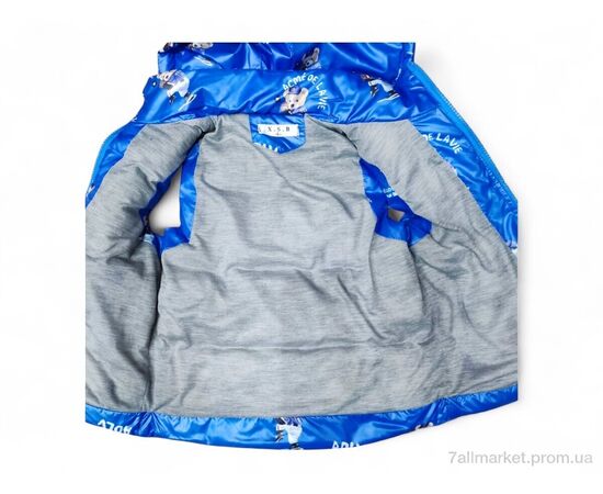 Жилетка дитяча Весна/осінь 902 електрик (5 шт. р.сітка98-122) "Kids-modnik" недорого оптом від прямого постачальника, зображення 3