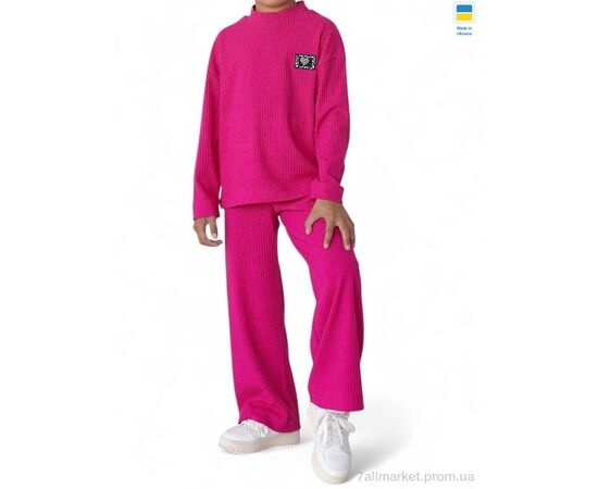 Костюм детский Весна/осень 006 малиновий (4 шт. р.сетка 116-134) "Steysi" недорого оптом от прямого поставщика Фотография Костюм детский Весна/осень 006 малиновий (4 шт. р.сетка 116-134) "Steysi" недорого оптом от прямого поставщика