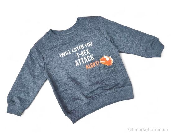 Батник дитячий Весна/осінь 17159 сірий (4 шт. р.сітка1-3) "Kids-modnik" недорого оптом від прямого постачальника Батник дитячий Весна/осінь 17159 сірий (4 шт. р.сітка1-3) "Kids-modnik" недорого оптом від прямого постачальника