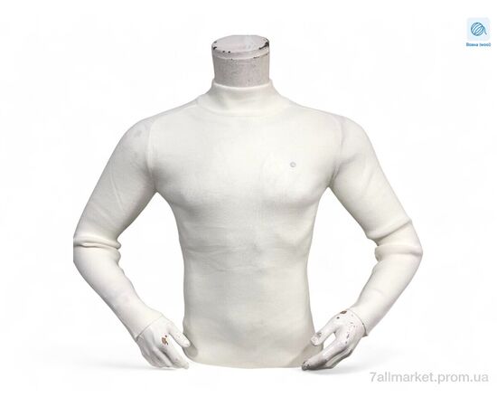 Свитер мужской Весна/осень 14010 білий (3 шт. р.сетка M-XL) "TurkishBrend" недорого оптом от прямого поставщика Фотография Свитер мужской Весна/осень 14010 білий (3 шт. р.сетка M-XL) "TurkishBrend" недорого оптом от прямого поставщика