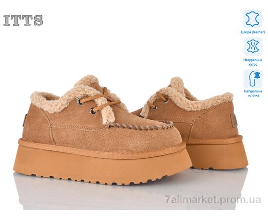 Туфлі жіночі стильні Зима F255-20 (6 пар р.36-40) "ITTS" недорого оптом від прямого постачальника Туфлі жіночі стильні Зима F255-20 (6 пар р.36-40) "ITTS" недорого оптом від прямого постачальника