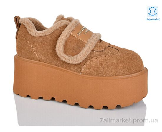 Туфлі жіночі стильні Зима WMP1113-5 (6 пар р.36-40) "Teetspace-Trasta-Egga" недорого оптом від прямого постачальника Туфлі жіночі стильні Зима WMP1113-5 (6 пар р.36-40) "Teetspace-Trasta-Egga" недорого оптом від прямого постачальника