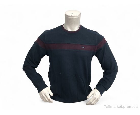 Батник мужской Весна/осень 6358 т.синій (4 шт. р.сетка L-3XL) "TurkishBrend" недорого оптом от прямого поставщика Фотография Батник мужской Весна/осень 6358 т.синій (4 шт. р.сетка L-3XL) "TurkishBrend" недорого оптом от прямого поставщика