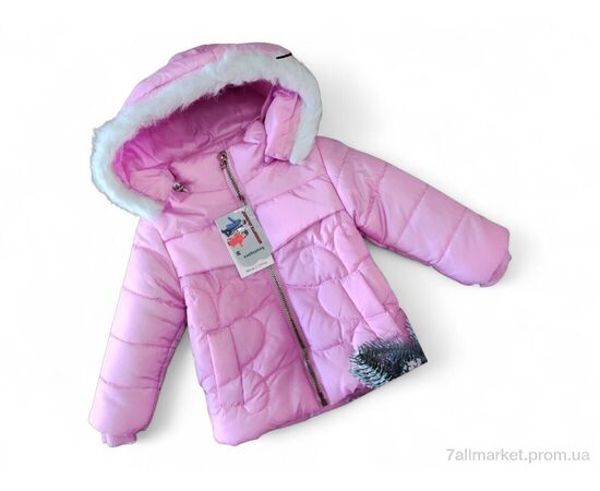 Куртка дитяча Весна/осінь S74 бузковий єврозима (3 шт. р.сітка2-3) "Kids-modnik" недорого оптом від прямого постачальника Куртка дитяча Весна/осінь S74 бузковий єврозима (3 шт. р.сітка2-3) "Kids-modnik" недорого оптом від прямого постачальника