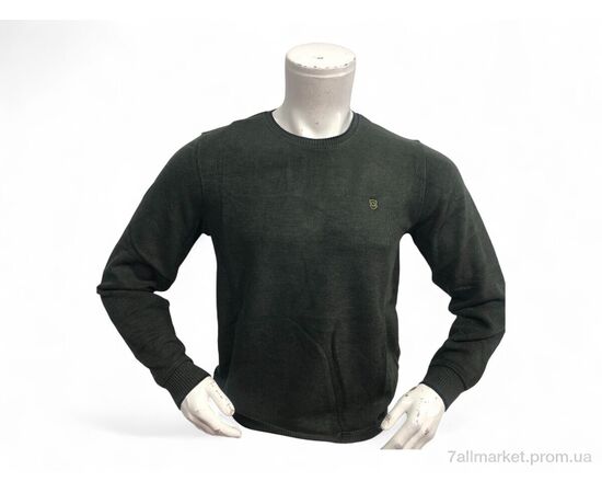 Батник мужской Весна/осень 6351 зелений (4 шт. р.сетка L-3XL) "TurkishBrend" недорого оптом от прямого поставщика Фотография Батник мужской Весна/осень 6351 зелений (4 шт. р.сетка L-3XL) "TurkishBrend" недорого оптом от прямого поставщика