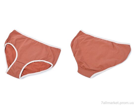 Труси Весна/осінь 002-01-1 brown (4XL) 08990 (12 шт. р.сітка4XL) "Obuvok" недорого оптом від прямого постачальника, зображення 3