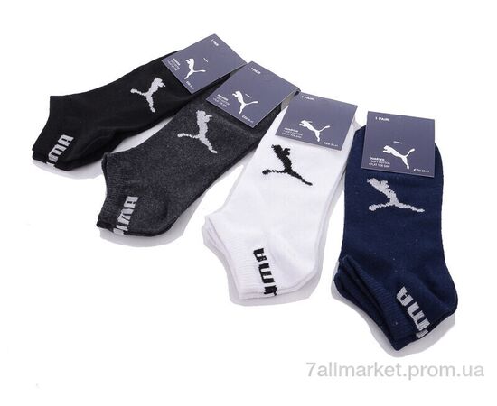 Жіночі шкарпетки Весна/осінь S98-2 (05959) mix (12 шт. р.сітка36-41) "Obuvok" недорого оптом від прямого постачальника, зображення 2 Жіночі шкарпетки Весна/осінь S98-2 (05959) mix (12 шт. р.сітка36-41) "Obuvok" недорого оптом від прямого постачальника, зображення 2