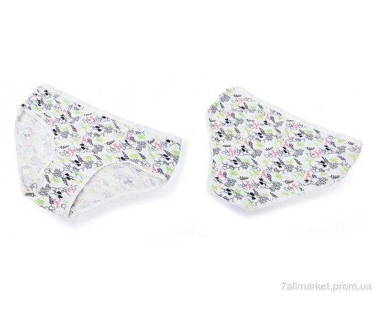 Фотография Трусы Весна/осень 005-01-3 white (08990) (3XL) (12 шт. р.сетка One size) "Obuvok" недорого оптом от прямого поставщика, изображение 3