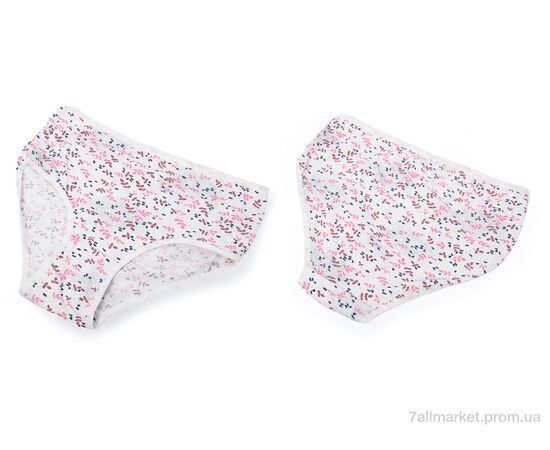 Фотография Трусы Весна/осень 005-01-1 white (08990) (3XL) (12 шт. р.сетка One size) "Obuvok" недорого оптом от прямого поставщика, изображение 3