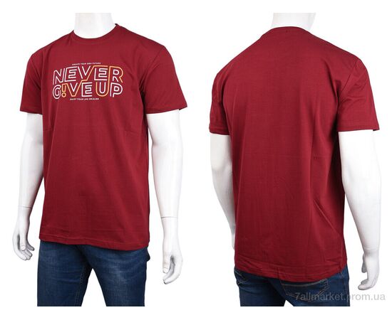 Футболка чоловіча Літо 3707-77-1 bordo (4 шт. р.сіткаM-2XL) "Мир" недорого оптом від прямого постачальника, зображення 3