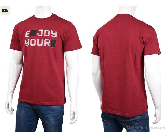 Футболка чоловіча Літо 3707-103-2 bordo (4 шт. р.сіткаM-2XL) "BIG" недорого оптом від прямого постачальника, зображення 3