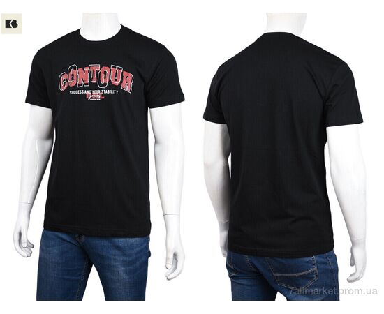 Футболка чоловіча Літо 3707-150-1 black (4 шт. р.сіткаM-2XL) "BIG" недорого оптом від прямого постачальника, зображення 3