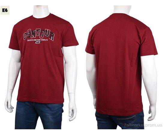 Футболка чоловіча Літо 3707-150-2 bordo (4 шт. р.сіткаM-2XL) "BIG" недорого оптом від прямого постачальника, зображення 3