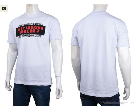 Футболка чоловіча Літо 3707-163-4 white (4 шт. р.сіткаM-2XL) "BIG" недорого оптом від прямого постачальника, зображення 3