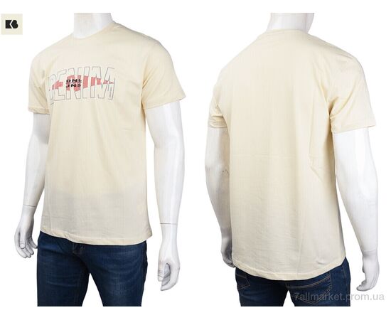 Футболка чоловіча Літо 3707-0064-3 beige (4 шт. р.сіткаM-2XL) "BIG" недорого оптом від прямого постачальника, зображення 3