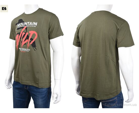 Футболка чоловіча Літо 3707-0085-2 green (4 шт. р.сіткаM-2XL) "BIG" недорого оптом від прямого постачальника, зображення 3