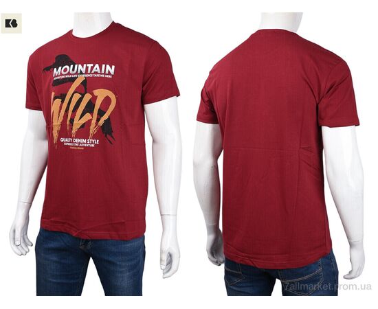 Футболка чоловіча Літо 3707-0085-1 bordo (4 шт. р.сіткаM-2XL) "BIG" недорого оптом від прямого постачальника, зображення 3