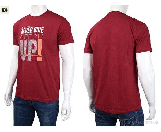 Футболка чоловіча Літо 3707-081-2 bordo (4 шт. р.сіткаM-2XL) "BIG" недорого оптом від прямого постачальника, зображення 3