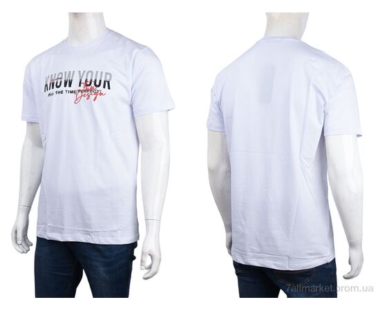 Футболка чоловіча Літо 3707-155 white (4 шт. р.сіткаM-2XL) "Мир" недорого оптом від прямого постачальника, зображення 3