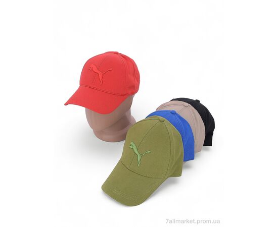 Кепка для чоловіків Весна/осінь LN005-2 mix (5 шт. р.сітка57-59) "KUINH" недорого оптом від прямого постачальника, зображення 2