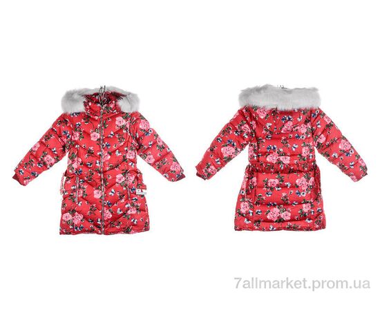 Фотография Куртка детская Зима 2792-8 red (5 шт. р.сетка 8-16) "Мир" недорого оптом от прямого поставщика, изображение 3