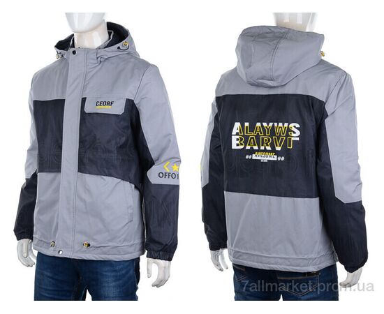 Куртка чоловіча Весна/осінь 8885 l.grey (5 шт. р.сітка48-56) "M7" недорого оптом від прямого постачальника, зображення 3