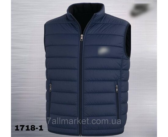 Фотография Жилетка демисезонная мужская стеганная Найк размеры 46-54 (3цв) "REMAIN" купить недорого от прямого поставщика, изображение 3