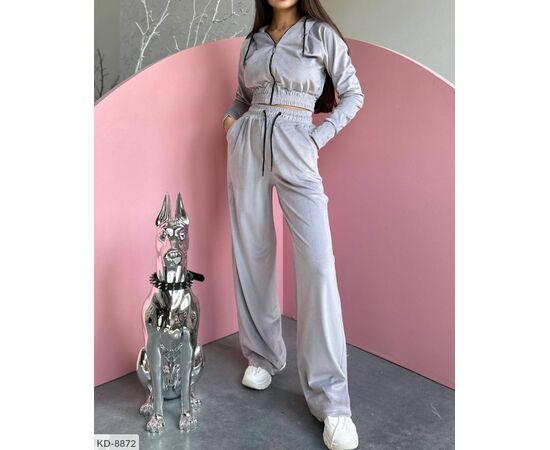 Жіночий велюровий спортивний костюм р.42-44;46-48 (10кол.) "BEST FASHION" купити недорого від прямого постачальника, зображення 28
