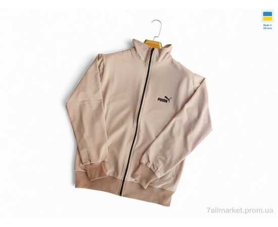 Кофта чоловіча Весна/осінь 501 PU св.бежевий (5 шт. р.сіткаM-2XL) "Sport style" недорого оптом від прямого постачальника, зображення 2