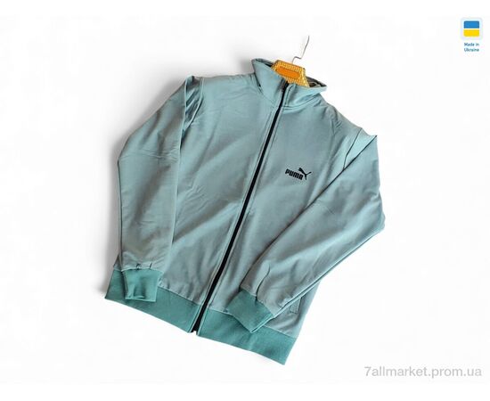 Кофта чоловіча Весна/осінь 501 PU морська хвиля (5 шт. р.сіткаM-2XL) "Sport style" недорого оптом від прямого постачальника, зображення 2