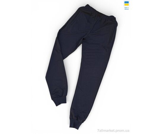 Спортивні штани чоловічі Весна/осінь 02Pu т.синій (5 шт. р.сітка46-54) "Sport style" недорого оптом від прямого постачальника, зображення 2