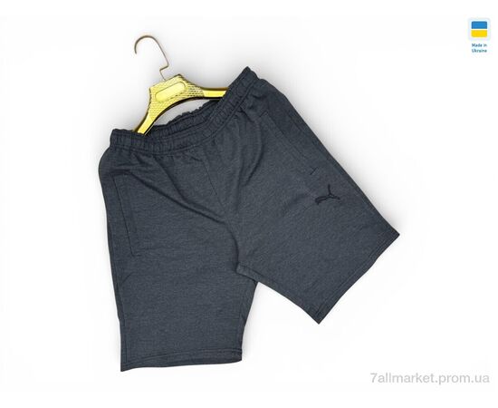 Фотография Шорты мужские Лето 02-1PM т.сірий (5 шт. р.сетка 46-54) "Sport style" недорого оптом от прямого поставщика, изображение 2