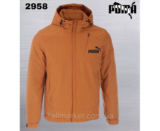 Фотография Куртка мужская демисезонная Пума размеры 46-54 (4цв) "REMAIN" недорого от прямого поставщика, изображение 2