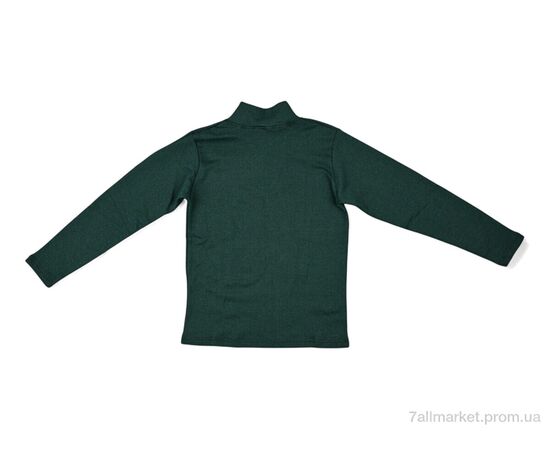 Фотография Гольфы женские Весна/осень 0023 green (2 шт. р.сетка 2XL-3XL) "Textile" недорого оптом от прямого поставщика, изображение 2