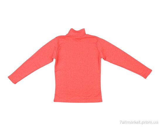 Фотография Гольфы женские Весна/осень 0022 orange (2 шт. р.сетка 2XL-3XL) "Textile" недорого оптом от прямого поставщика, изображение 2