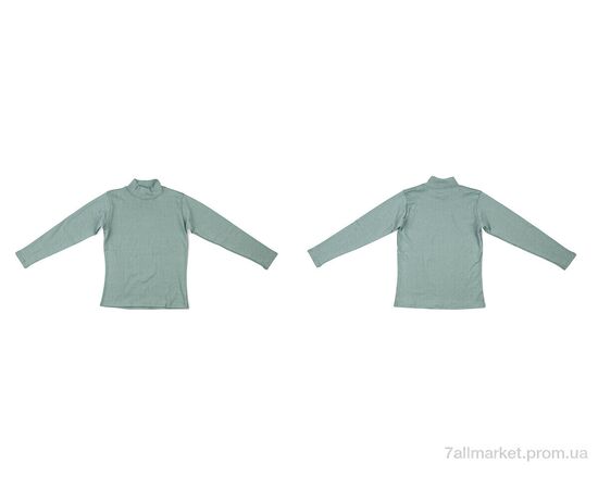 Фотография Гольфы женские Весна/осень 0017 l.green (2 шт. р.сетка 2XL-3XL) "Textile" недорого оптом от прямого поставщика, изображение 3