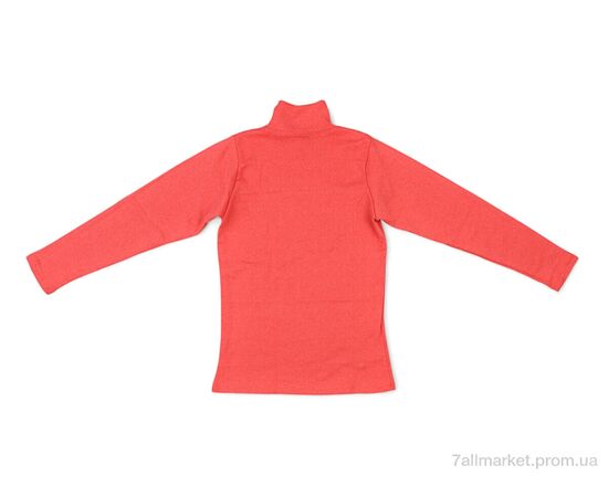 Фотография Гольфы женские Весна/осень 007 orange (4 шт. р.сетка S-XL) "Textile" недорого оптом от прямого поставщика, изображение 2