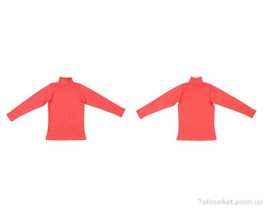 Фотография Гольфы женские Весна/осень 007 orange (4 шт. р.сетка S-XL) "Textile" недорого оптом от прямого поставщика, изображение 3