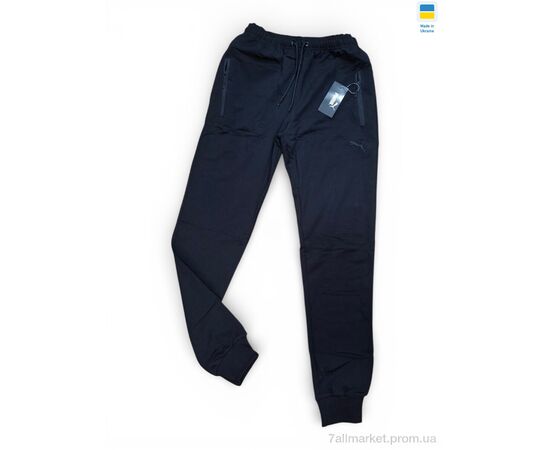 Фотография Спортивные брюки мужские Весна/осень 2PU чорний (6 шт. р.сетка 48-58) "Sport style" недорого оптом от прямого поставщика, изображение 2