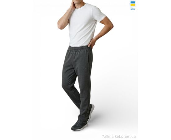Фотография Спортивные брюки мужские Весна/осень 10PU т.сірий (5 шт. р.сетка 56-64) "Sport style" недорого оптом от прямого поставщика, изображение 2