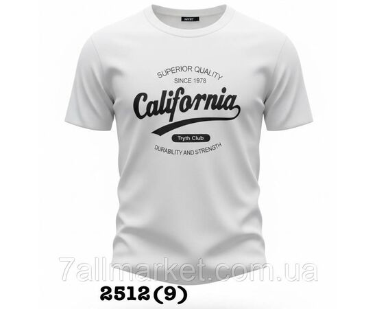 Футболка чоловіча молодіжна CALIFORNIA р-ри 48-58 (5кол) "SKAY" недорого гуртом від прямого постачальника, зображення 6