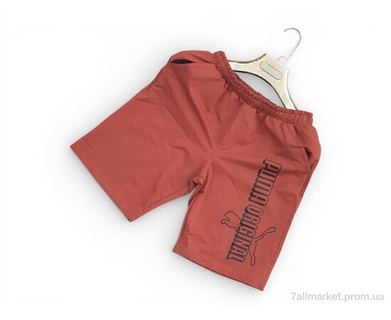 Шорти чоловічі Літо 005PU коричневий (5 шт. р.сітка46-54) "Sport style" недорого оптом від прямого постачальника, зображення 2
