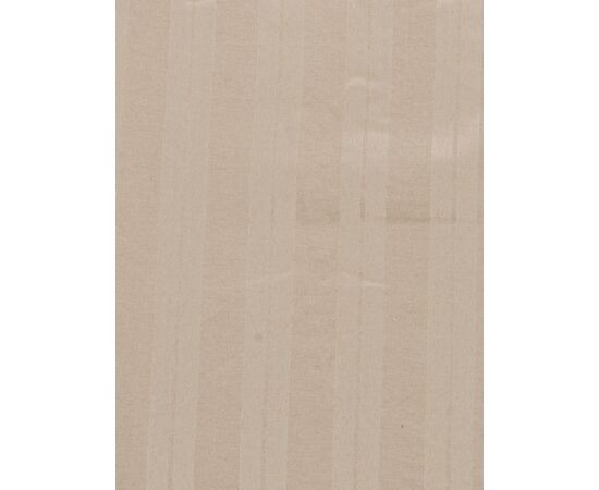 Постільна білизна 22119 (99202 beige р.140*200 "Obuv OK2" недорого від прямого постачальника, зображення 2