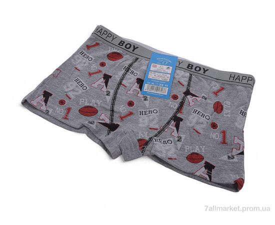 Фотография Трусы детские Весна/осень Z02109 mix (6 шт. р.сетка S-XL) "Look&Buy Clothes" недорого оптом от прямого поставщика, изображение 2