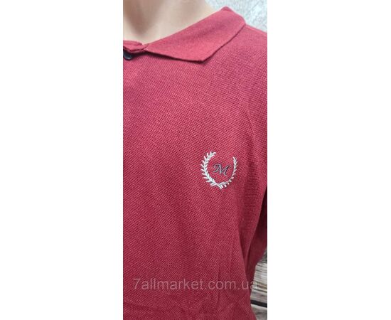 Футболка-поло чоловіча однотонна р.2XL-6XL (4 кв.) "MODY" недорогою опцією від прямого постачальника, зображення 2